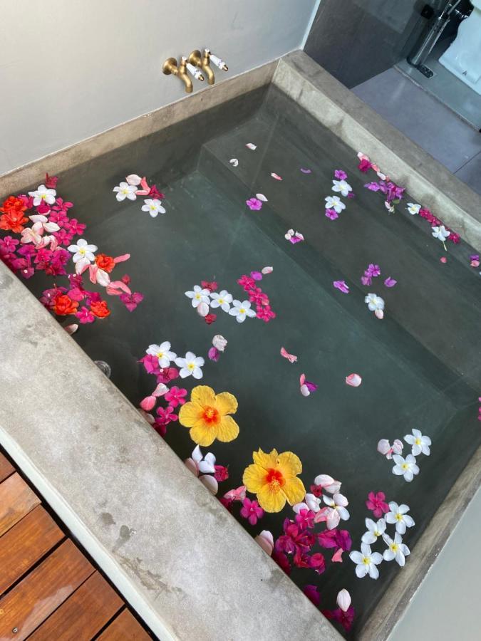 Tropicalia Chales Boutique Praia de Pipa 외부 사진
