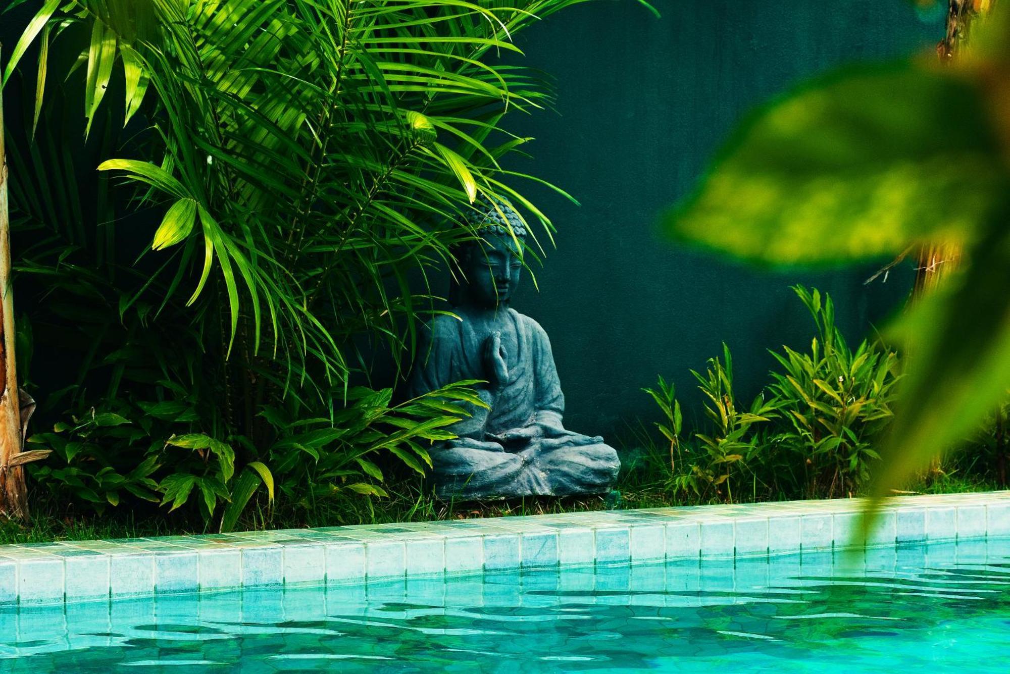 Tropicalia Chales Boutique Praia de Pipa 외부 사진